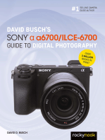 David Busch’s Sony Alpha a6700/ILCE-6700 Guide to Digital Photography