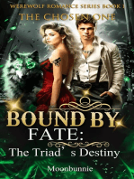 Bound By Fate：The Triad's Destiny: The Chosen One