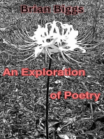 An Exploration of Poetry