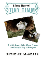 A True Story Of Tiny Timm: A Little Bunny Who Made Friends and Brought Joy to Everyone
