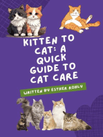 Kitten to Cat: A Quick Guide to Cat Care