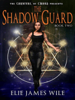 The Shadow Guard: The Carnival of Chaos, #2