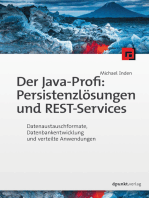 Der Java-Profi: Persistenzlösungen und REST-Services: Datenaustauschformate, Datenbankentwicklung und verteilte Anwendungen