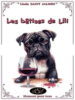 Les bêtises de Lili