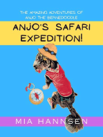 Anjo's Safari Expedition! The Amazing Adventures of Anjo the Bernedoodle
