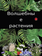 Волшебные растения