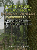 Plant Fossil Atlas From (Pennsylvanian) Carboniferous Age Found in Central Appalachian Coalfields Volume 1