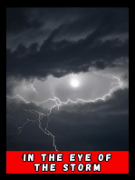 In the eye of the Storm: contos, #1