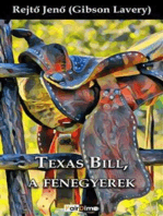 Texas Bill, a fenegyerek