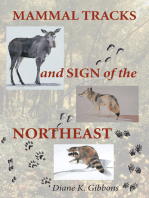Mammal Tracks and Sign of the Northeast