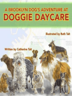 A Brooklyn Dog's Adventure at Doggie Daycare
