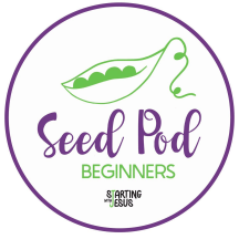 The SeedPod for Beginners by Starting With Jesus