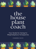 The House Plant Coach: Your Guide for Caring for Rhaphidophora Tetrasperma