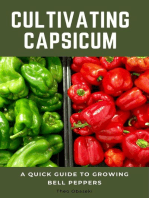 Cultivating Capsicum