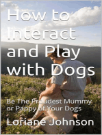 How to Interact and Play with Dogs