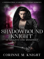 The Shadowbound Knight