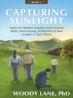 Capturing Sunlight, Book 2