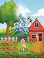Life of Bailey - A True-Life Story - From Puppy to Dog