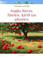 Augļu dārzs. Ābeles, ķirši un plūmes