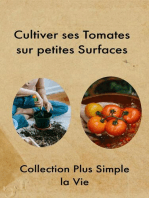 Cultiver ses Tomates sur petites Surfaces