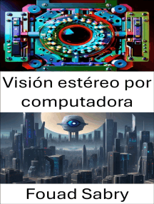 Visión estéreo por computadora: Explorando la percepción de profundidad en la visión por computadora