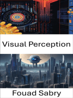 Visual Perception: Insights into Computational Visual Processing