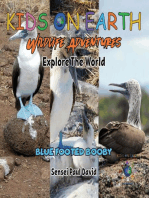 KIDS ON EARTH - Blue Footed Booby - Ecuador