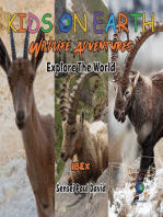 KIDS ON EARTH - Ibex Goat - Israel
