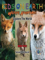 KIDS ON EARTH - Red Fox - Austria