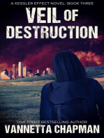 Veil of Destruction: Kessler Effect, #4