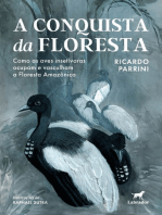 A conquista da floresta: Como as aves insetívoras ocupam e vasculham a Floresta Amazônica