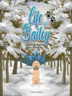 Life of Bailey: Bailey's First Winter