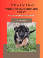 Training Your German Shepard Puppy - A Comprehensive Guide