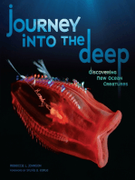 Journey into Deep: Discovering New Ocean Creatures