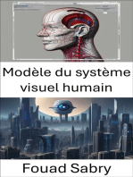 Modèle du système visuel humain: Comprendre la perception et le traitement