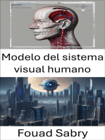 Modelo del sistema visual humano: Comprender la percepción y el procesamiento