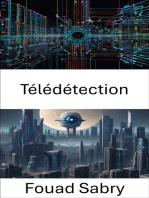 Télédétection: Avancées et applications de la vision par ordinateur pour la télédétection