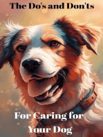 The Do's and Don'ts for Caring for Your Dog