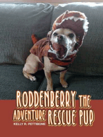 Roddenberry the Adventure Rescue Pup