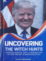 Uncovering the Witch Hunts