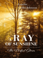 A Ray of Sunshine: The Perfect Storm