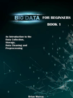 Big Data for Beginners: Book 1 - An Introduction to the Data Collection, Storage, Data Cleaning and Preprocessing