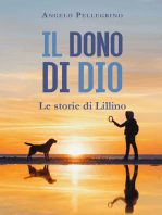 Il Dono Di Dio: Le Storie Di Lillino