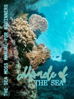 Miracle of The Sea: The Sea Moss Manual