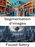 Segmentation d'images: Libérer des informations grâce à Pixel Precision