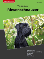 Traumrasse Riesenschnauzer