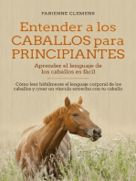 Entender a los caballos para principiantes - aprender el lenguaje de los caballos es fácil