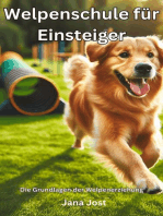 Welpenschule für Einsteiger, Die Grundlagen der Welpenerziehung