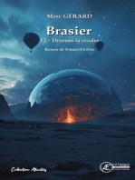 Brasier - Tome 2