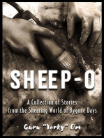 Sheep-O
